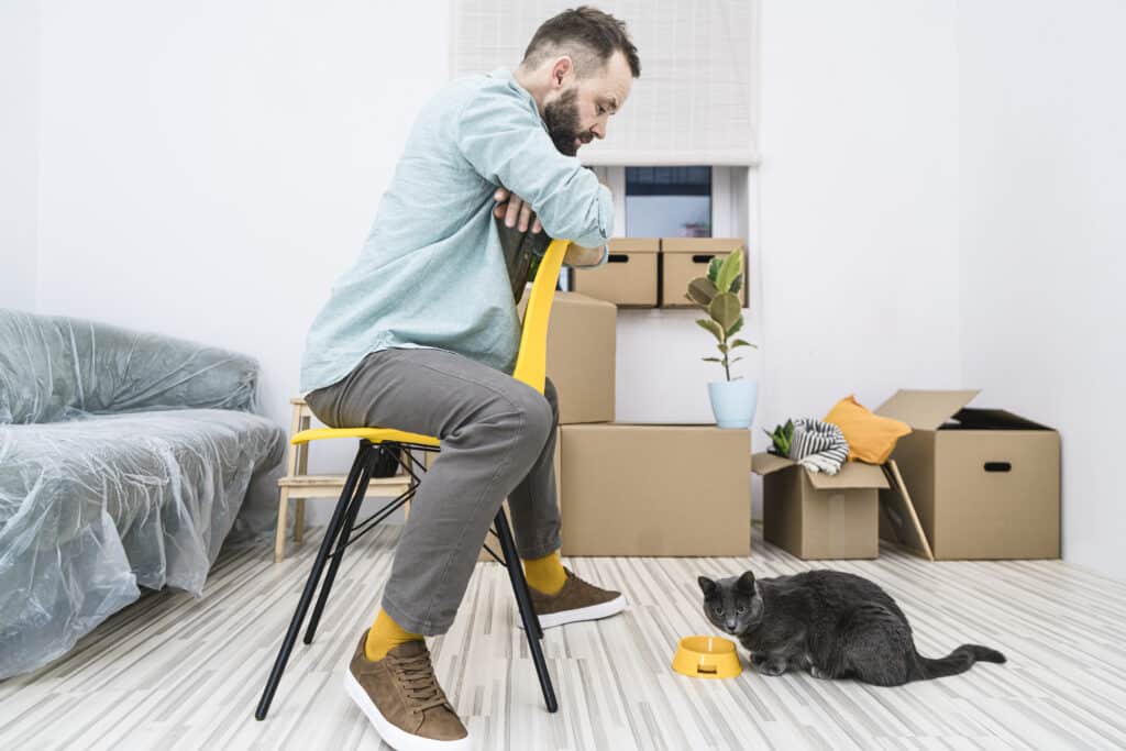 traveling-with-pets-advantage-medical-professionals